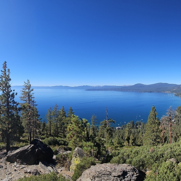 EVERYTHING MUST GO - Picture 10 of 16